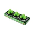 thumbnail image 2 of Dvkptbk Succulent Cactus Candle 3pcs Birthday Candle Nonsmoking Candle Quirky Candle Set, 2 of 6
