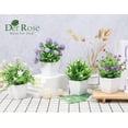 Der Rose 4 Packs Small Fake Plants Mini Artificial Faux Plants with ...