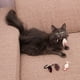 thumbnail image 5 of Ratón de gato de imitación de felpa, divertido juguete para gato que se golpea solo, ratón de juego y hierba gatera de razas medianas, 5 uds. (Color), 5 of 5