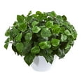 thumbnail image 1 of Nearly Natural 8425 Pothos Artificial Plant in White Vase, 1 of 1