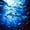 Blue Teal, variant on Castle Fairy Realistic Deep Sea Hammerhead Scene Twin Sheets 3pcs,Sun Ray Blue Underwater Graphic Bedding,Midnight Teal,1 Fitted Sheet,1 Flat Sheet and 1 Pillowcase