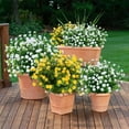 thumbnail image 6 of Viworld 6PCS Artificial Flowers, Fake Artificial Greenery UV Resistant No Fade Faux Plastic Plants for Wedding Indoor Outdoor Home Garden Office Table Vase (White), 6 of 7