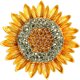 thumbnail image 1 of Broche de girasol con diamantes de imitación y flor de cristal, broche para suéter, regalo de joyería para mujeres y niñas., 1 of 7