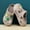 D, variant on Kids Cute Clogs Cartoon Garden Shoes Boys Girls Slides Slippers Indoor Outdoor Children Water Shower Beach Pool Sandals