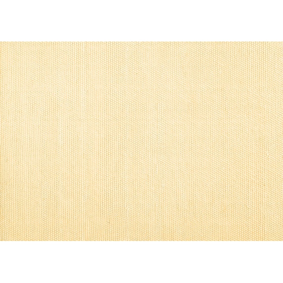 Ahgly Company Indoor Rectangle Solid Brown Modern Area Rugs, 8' x 12'