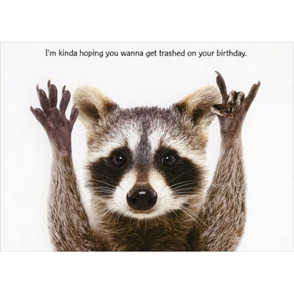 Designer Greetings Raccoon Doing 'Rock On' Hand Symbol Funny / Humorous Birthday Card