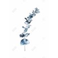thumbnail image 3 of Eucalyptus Feuilles Bleues - Toile 24"x36 Pouces - Impression à la Demande, 3 of 5