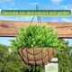 thumbnail image 2 of Plantas artificiales Bewildely realistas para exteriores 12 piezas Decoración Eucalipto grande, 2 of 6