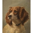 thumbnail image 2 of Johannes Christian Deiker 15x17 Black Ornate Wood Framed Double Matted Museum Art Print Titled - Spaniel, Coloured Brown-White, 2 of 5