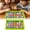 Green #567, variant on Two-Player Flick Disc Board Game with 5 Red & 5 Blue Discs Family Strategy Tabletop Game Compact Storage Indoor Outdoor Party Game for Adults 14.2"