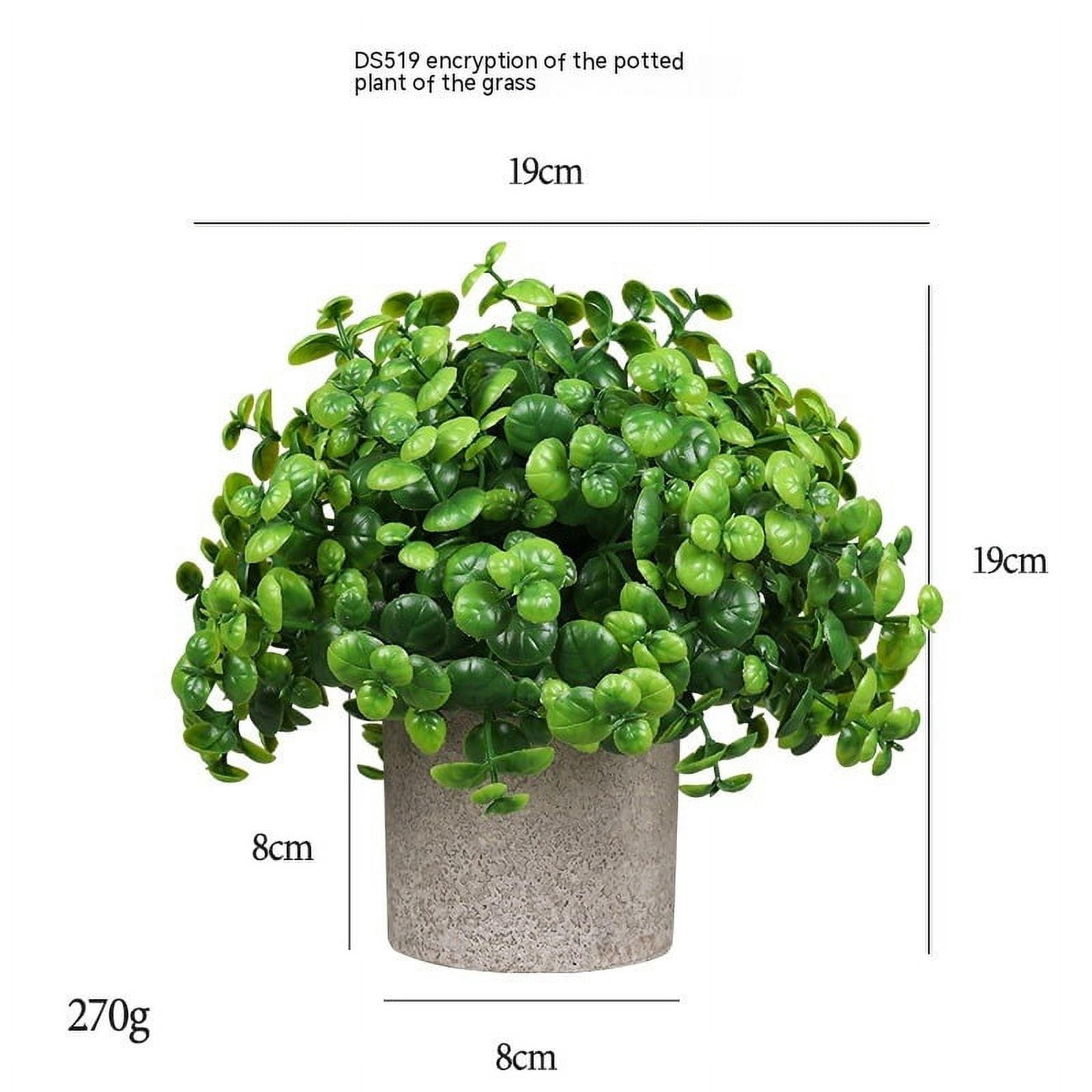 Planta De Eucalipto Artificial Modelo 002 En Madera | Cuotas Sin Interés