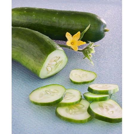 Bonnie Plants Burpless Bush Cucumber Live Plant (6 Count)