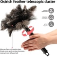 thumbnail image 5 of 2 Pack Retractable Feather Duster - Genuine Ostrich Feathers, Fluffy and Natural Feather Duster Anti-Static,Reusable Eco-Friendly Handheld Cleaning for Keyboard/Home,Car,Office(10 to 15 Inches), 5 of 7