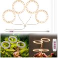 thumbnail image 1 of 1/2/3/4 Ring Small Plant Halo Grow Light with 8/12/16H Timer for Desk,Full Spectrum LEDs USB Mini Dimmable Grow Light for Indoor Umbrella Plant Seeds herb Growth(4 Rings), 1 of 8