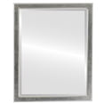 thumbnail image 1 of Toronto Framed Mirror - Silver Leaf with Brown Antique, 1 of 6