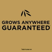 Scotts EZ Seed Patch & Repair Tall Fescue Lawns, 3.75 lbs.