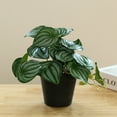 thumbnail image 2 of Ersvoioy Clearance On Sale Simulation Alocasia Macrorrhizos Pot Artificial Plants Potted Faux Plant Greenery Aesthetic House Plants for Home, office, and Garden Decor Table Shelf Desk, 2 of 6