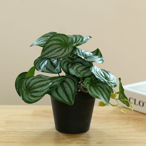 Rwvbm Artificial Peperomia Plant-7.5" Tall Fake Succulent in Plastic Pot Realistic Green Home Decor for Living Room,Office,or Bathroom Low-Maintenance Indoor Houseplant