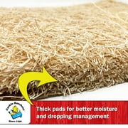 Cackle Hatchery Laying Hen Nest Box Pads - 10 Pack