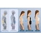 thumbnail image 3 of Corrector Postura Espalda Para Hombre Y Mujer Ajustable Faja, 3 of 8