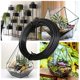 thumbnail image 4 of Plantas De Jardín, Correa De Soporte Para Plantas, Alambre De Amarre Para Jardín Para Jardinería, Hogar Y Oficina Cateissary HA043490-02, 4 of 6
