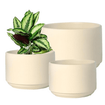 Ceramic Plant Pot 25.7 x 17.2 x 17.2 cm Beige