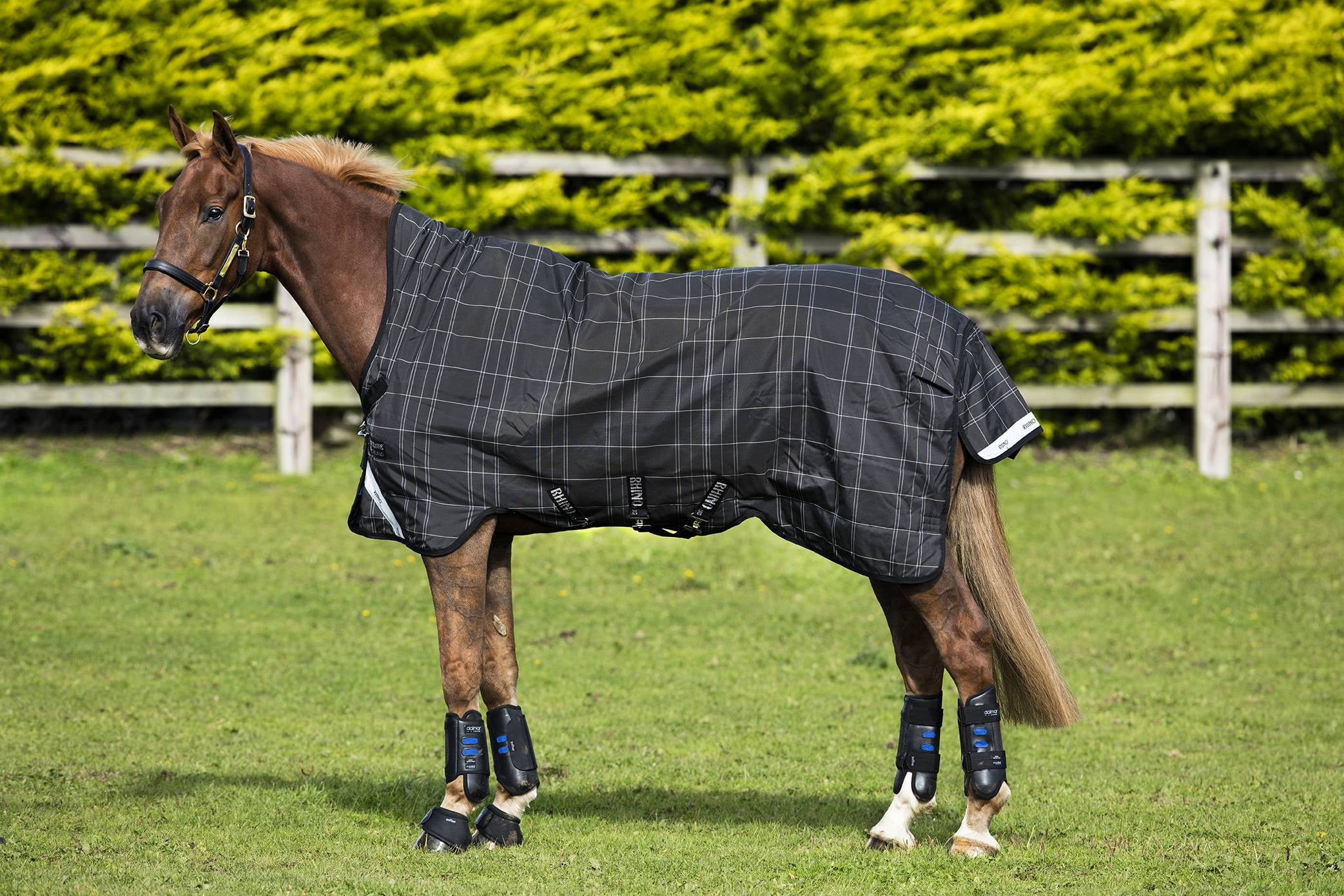 Rhino Wug Turnout Blanket (100g Lite)
