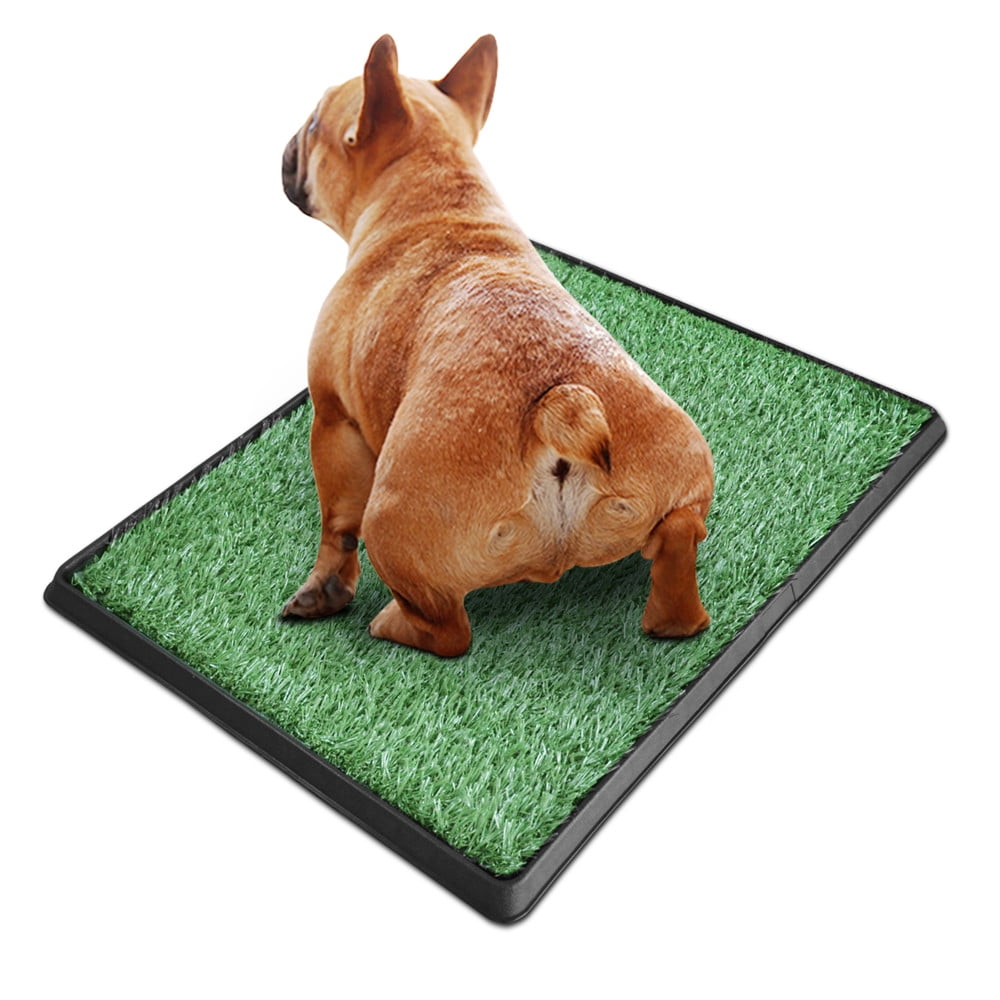 grass pee pad walmart