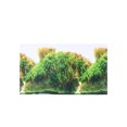 thumbnail image 1 of Autocollants Décoratifs Double Face pour Aquarium, Fond pour la Maison, 1 of 6