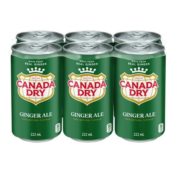 Canada Dry® Ginger Ale 222 mL Mini-Cans, 6 Pack, 6 x 222 mL