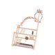 thumbnail image 4 of Parque de juegos para loros, gimnasio para pájaros, escaleras para trepar, soporte de madera para perchas, soporte de juego para periquitos, cacatúas,, 4 of 9