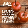 thumbnail image 5 of Seneca Caramel Apple Chips | Made from Fresh Apples | 100% Red Delicious Apples | Yakima Valley Orchards | Crisped Apple, 24 Bags, 5 of 5