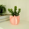 thumbnail image 4 of Clever Contraption Small Cat Face Succulent Planter Vase – 3D Printed, 4 of 9