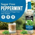 thumbnail image 2 of Syruvia Peppermint Sugar Free Cocktails Syrup 25.4 Fl. Oz With Pump, 2 of 7