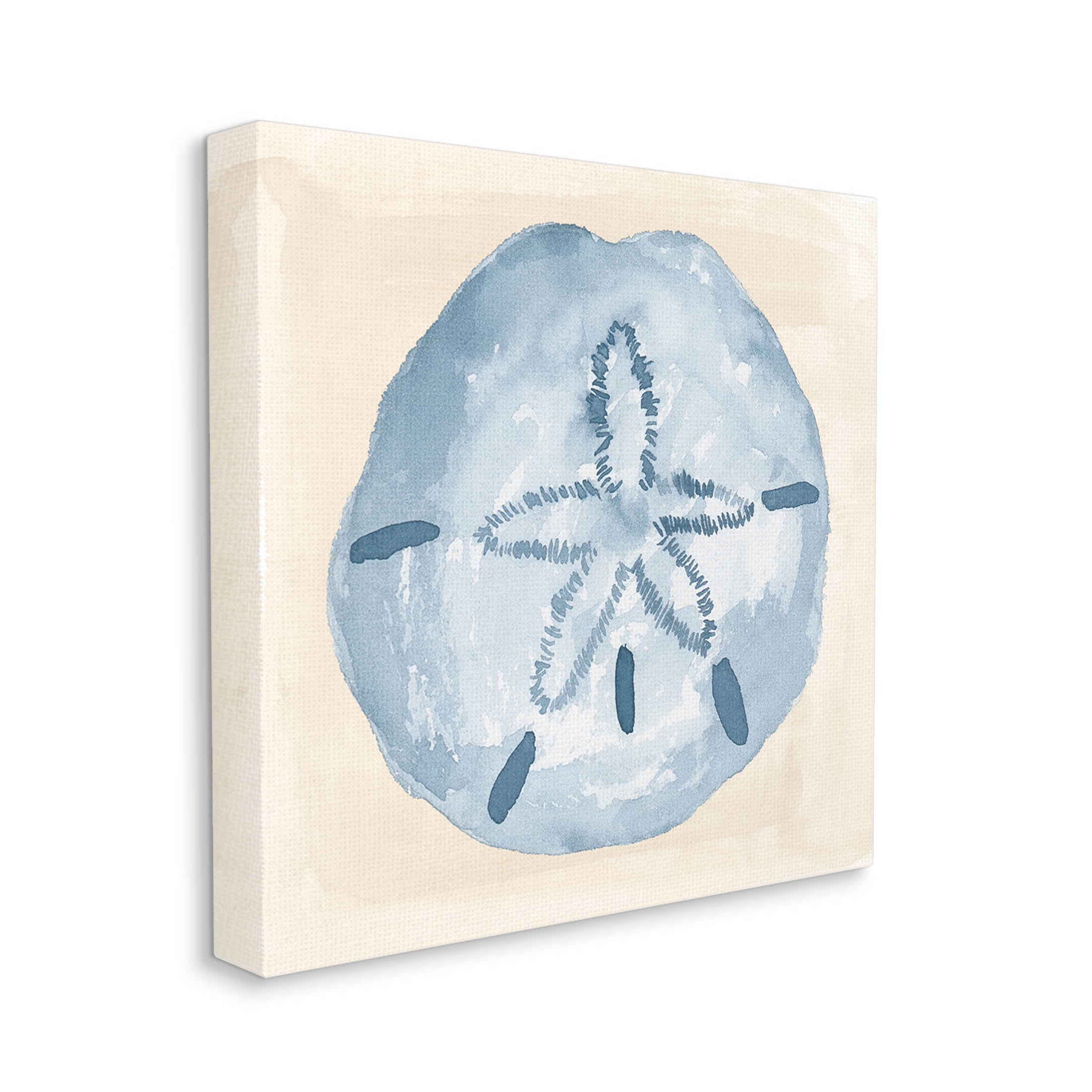 Casual Sand Dollar Beach Life Animals & Insects Graphic Art Gallery Wrapped Canvas Print Wall Art