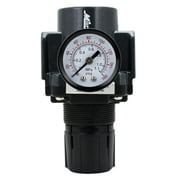 ExelAir EX45R-03 3/8" NPT FRL Air Regulator