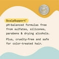 Headquarters SoftShine Shampoo for Balanced or Combination Scalp and