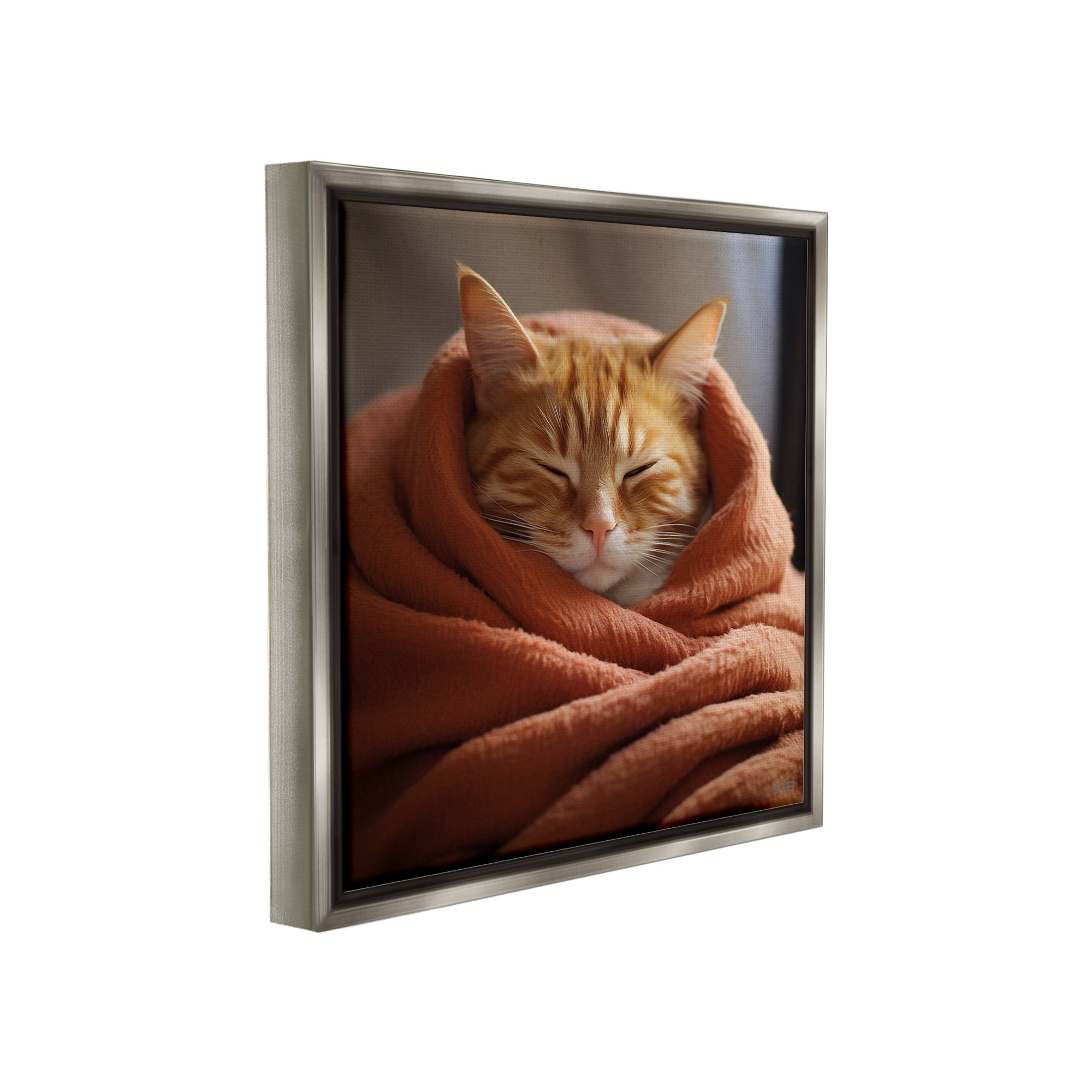 Stupell Industries Cuddling Sleepy Cat Animals & Insects Painting Gray Floater Framed Canvas Art Print Wall Art, 25 x 25