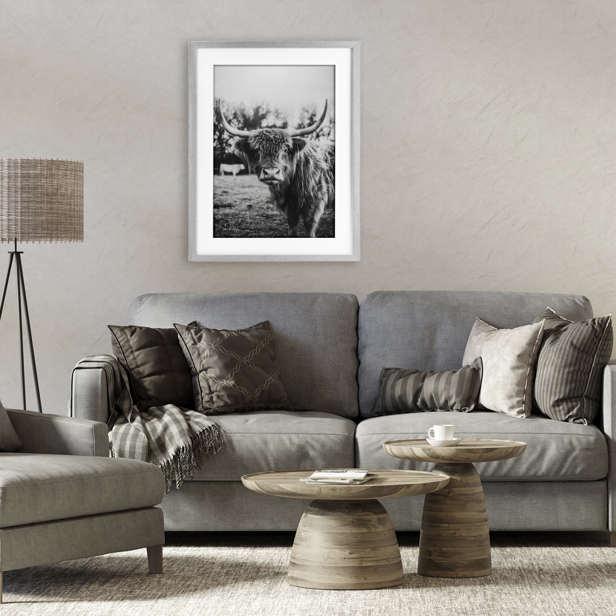 Stupell Industries Peering Highland Cattle Gray Framed Print Under Glass, design by Dakota Diener