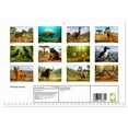 thumbnail image 2 of Recently Extinct (Monthly Wall Calendar 2026 16.5 x 23.4 (open)), CALVENDO 14 Month Calendar, 2 of 9