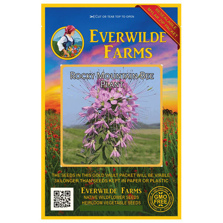 Everwilde Farms - 300 Rocky Mountain Bee Plant Native Wildflower Seeds - Gold Vault Jumbo Bulk Seed (Best Time To Plant Wildflower Seeds In Texas)