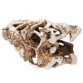 thumbnail image 2 of Crâne de dinosaure en résine, squelette animal, ornements, accessoires, collection Halloween, décoration artisanale, 2 of 4