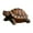 Coffee, variant on Clearance Under $15 Realistic Turtle Garden Statue Lifelike Resine Decor For Outdoor Pond Patio Or Yard Tortoise Ornament For Landscaping Coffee