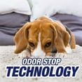 thumbnail image 5 of Resolve Pet High Traffic Carpet Foam, 22 Oz, Cleans Freshens Softens & Removes Stains, Pack of 4, 5 of 6