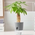 thumbnail image 3 of Balcony Garden Auto Irrigate Office Succulents Garden Supplies Hydroponic Decoration Flower Pots Plant Pot Home Decor Planters 15X18CM WHITE, 3 of 8