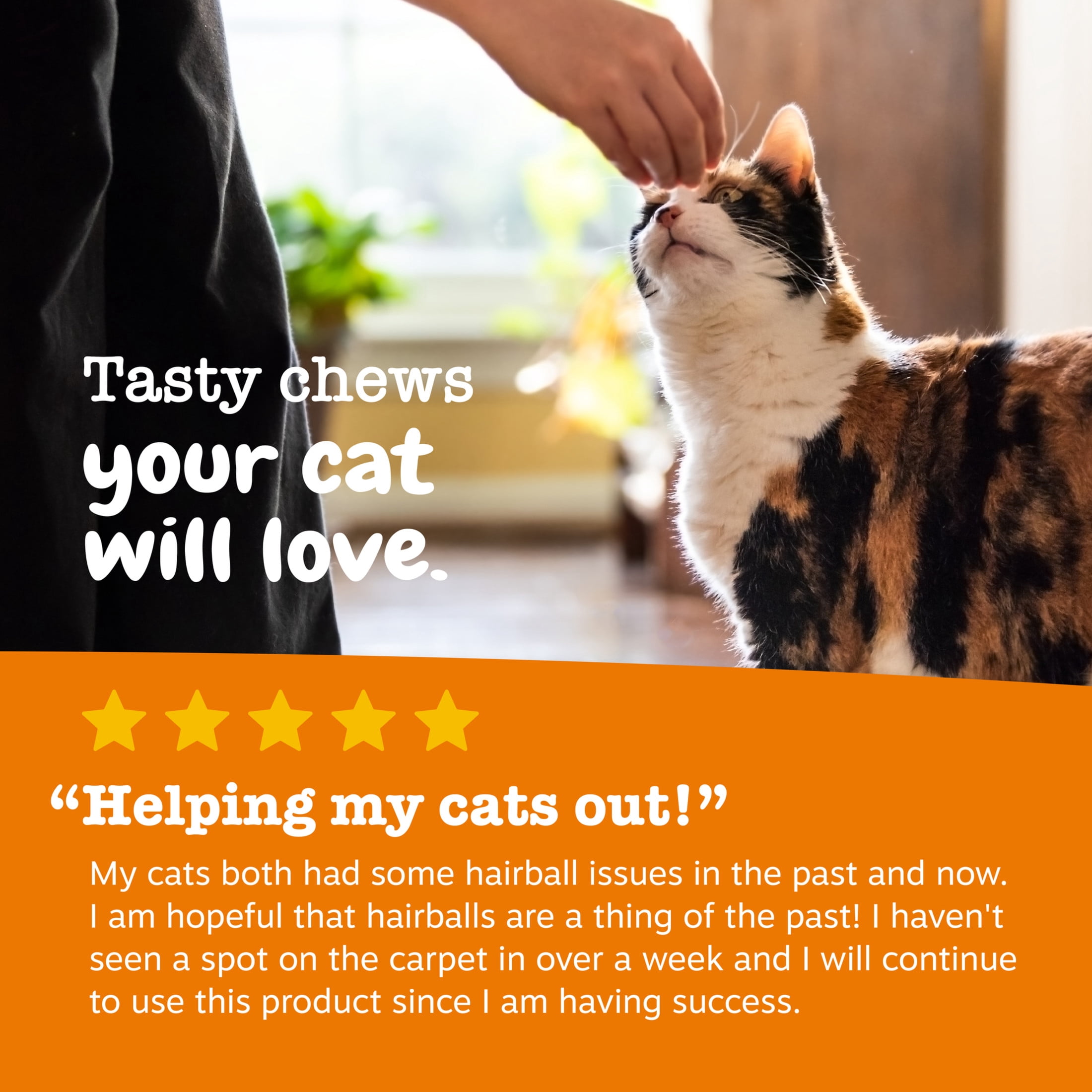 (6 pack) Zesty Paws Cat Hairball Bites, 30 Count