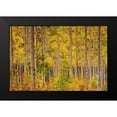 thumbnail image 2 of Gavrilis, John 14x11 Black Modern Framed Museum Art Print Titled - Independence Pass, 2 of 5