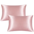 thumbnail image 1 of Wrinkle Resistant Satin Pillowcase, Silky Soft & Luxurious Bedding, Less Friction for Hair and Skin (2 Pack Standard Size), 1 of 5