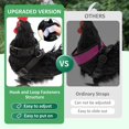 thumbnail image 2 of Correa para pechuga de pollo NQ ajustable doble mejorada, negro, M, 2 of 4