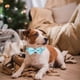 thumbnail image 4 of Collar navideño para perros con pajarita Collares para mascotas para perros pequeños, medianos y grandes, 4 of 5